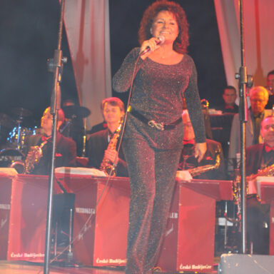 Metroklub Big Band a Jitka Zelenková